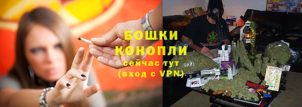 прущая мука Новодвинск