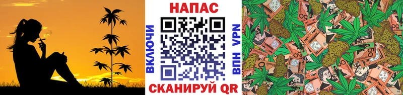 МАРИХУАНА индика omg как войти Гороховец